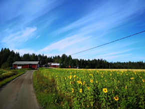 Отель Maatilamatkailu Ilomäki  Сейняйоки